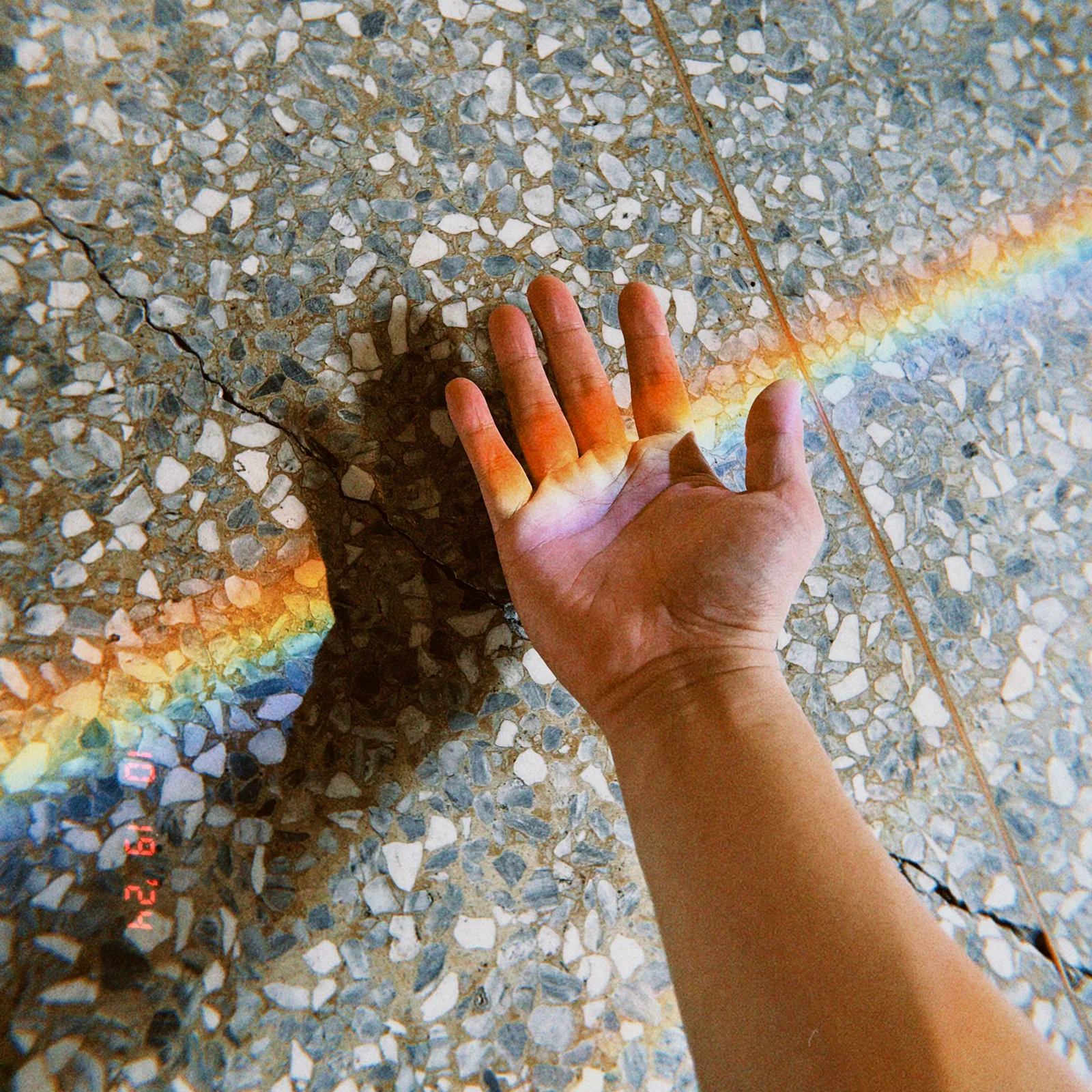 Cover of The Other Shore of Dreams