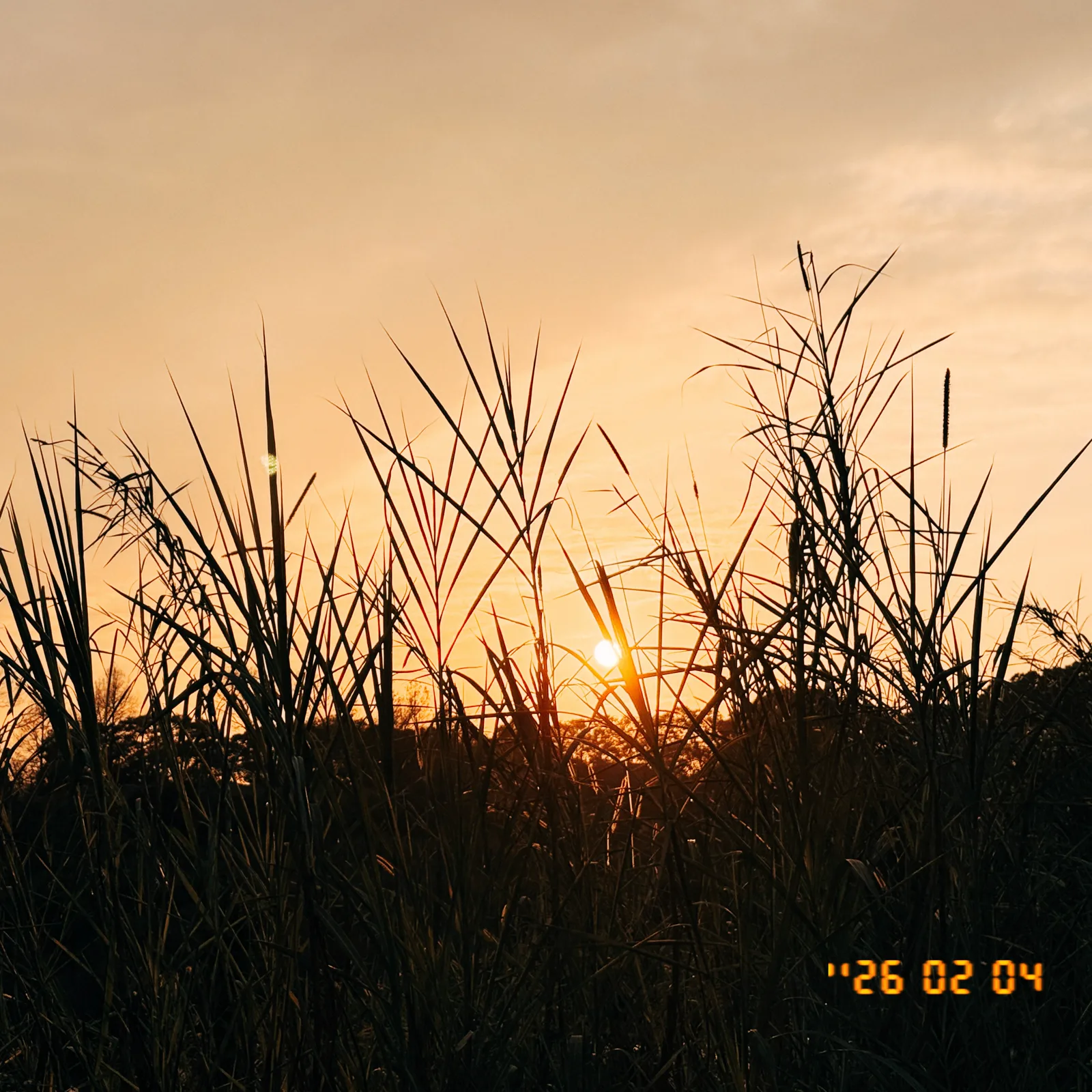 Cover of Be seen