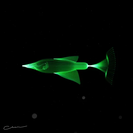 SoulFish #10, capture at mint