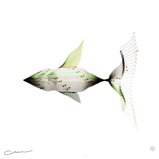 SoulFish #1, capture at mint