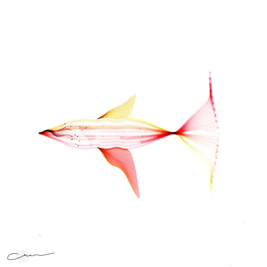 SoulFish #14, capture at mint