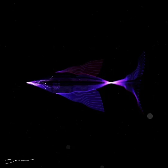 SoulFish #11, capture at mint