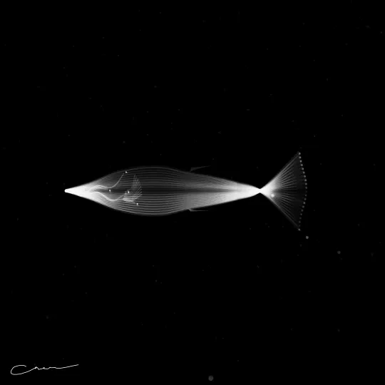 SoulFish #38, capture at mint