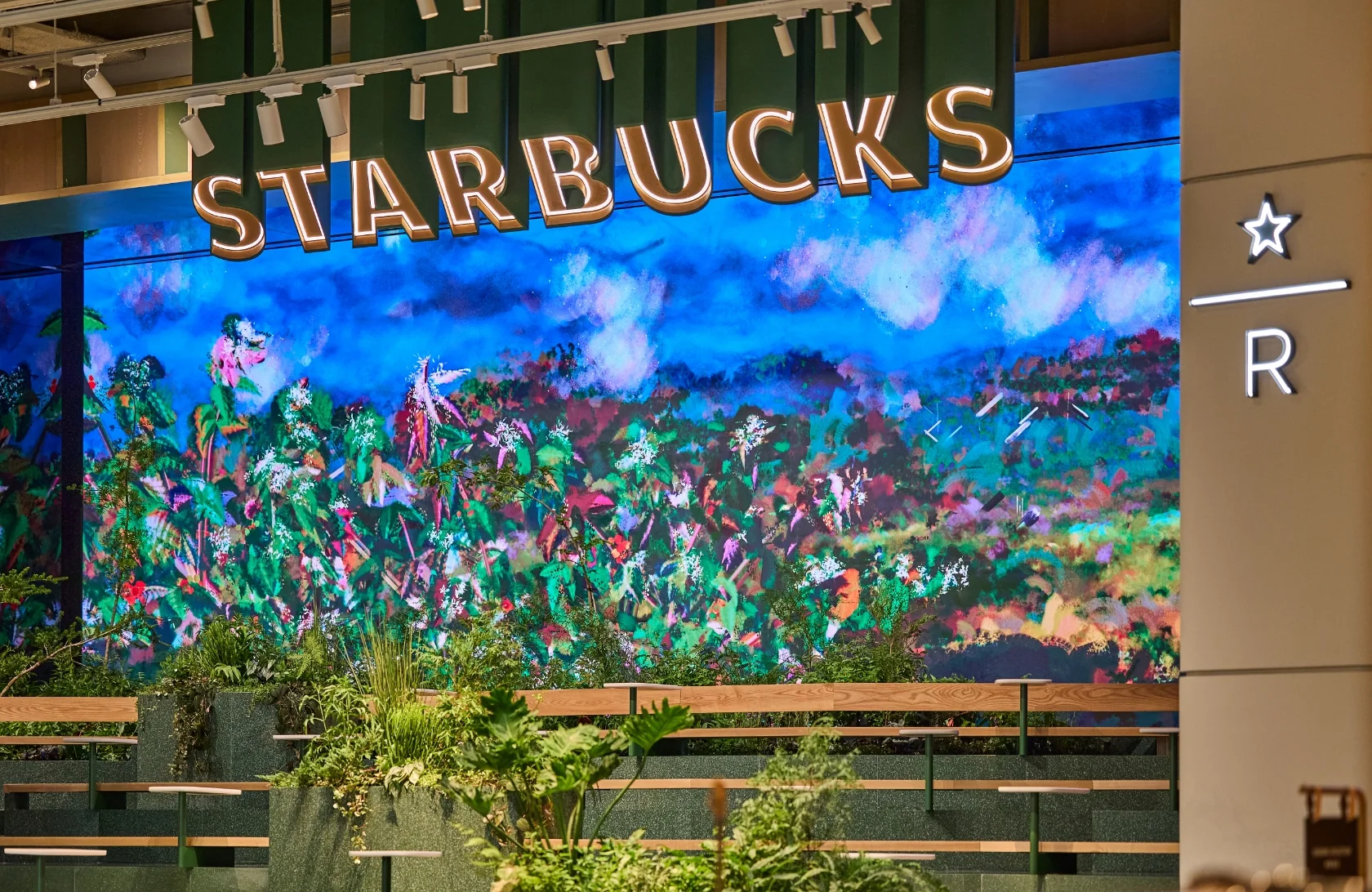 The Coffee Dreamscape