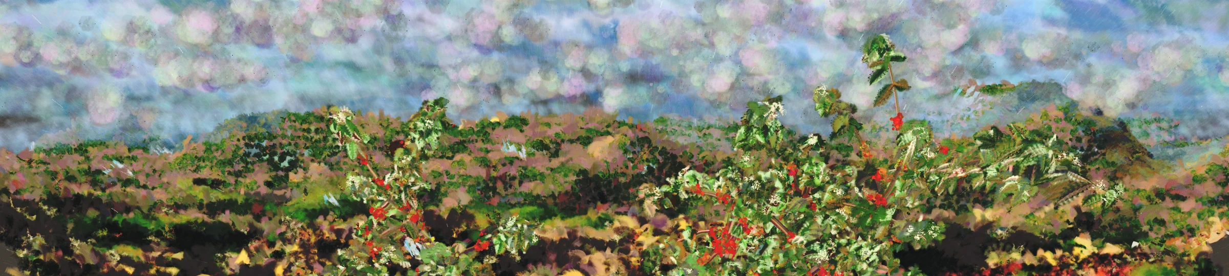 Coffee Landscape on a rainy day