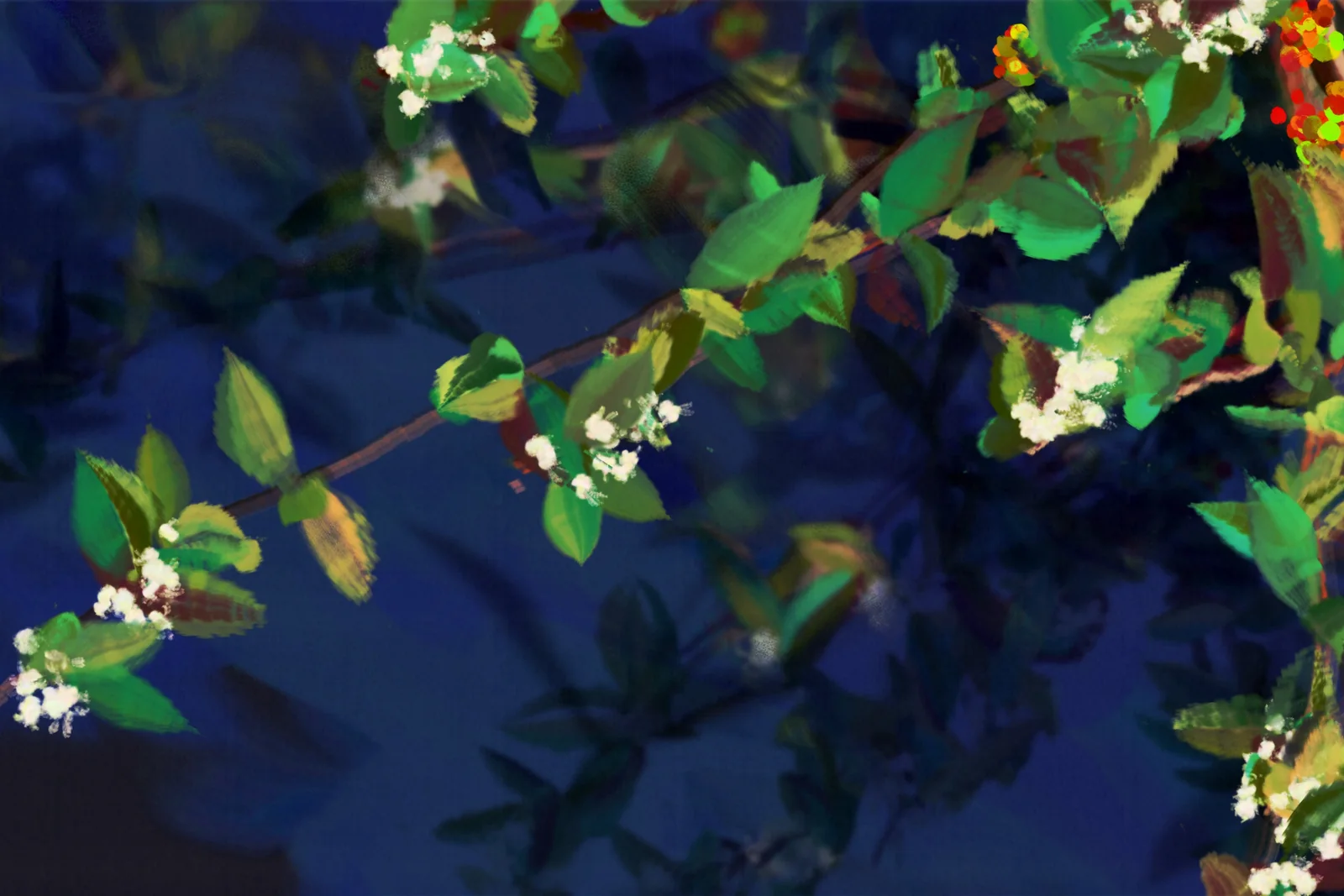Coffee tree at night, 17 July 2024