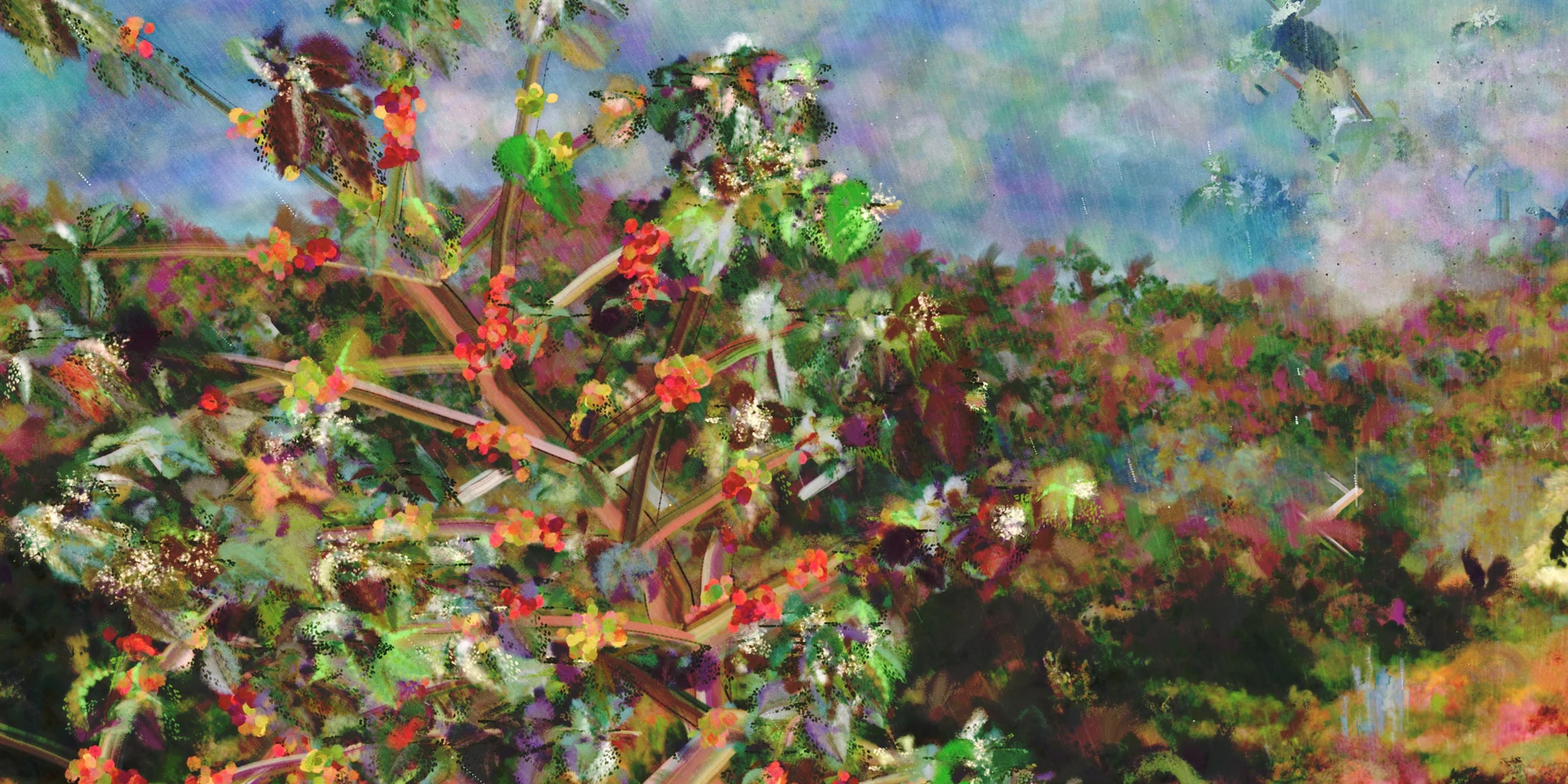 Coffee trees with red cherries at 8 a.m., terraces and a pale blue sky behind