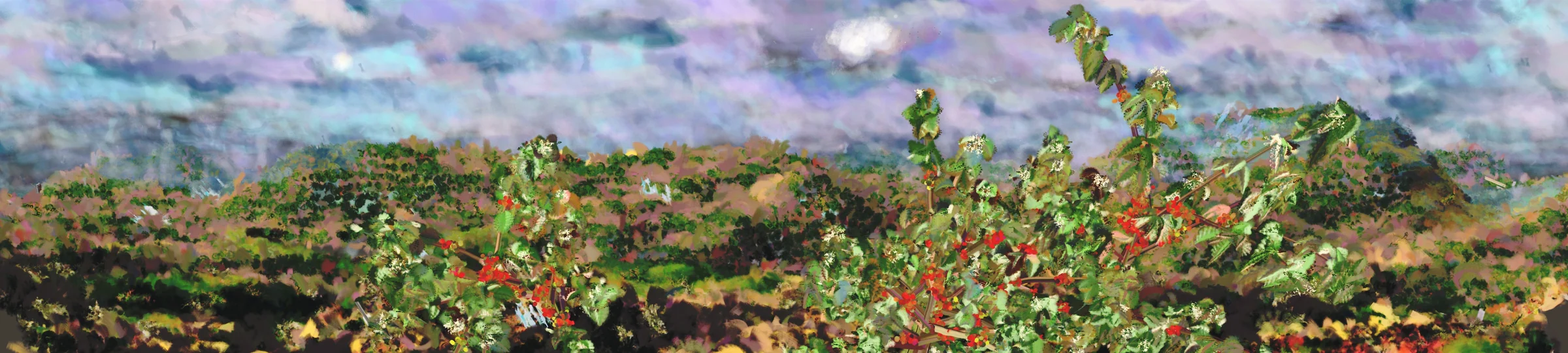 Coffee Landscape on a clear day