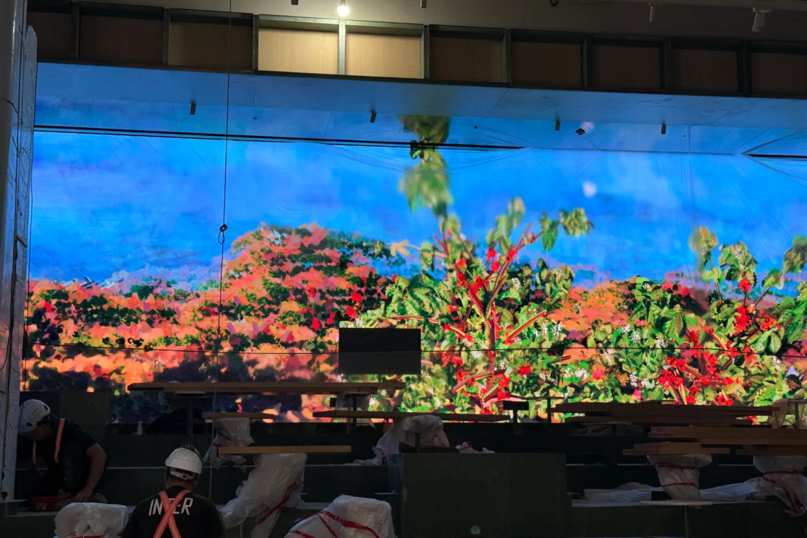 Coffee Landscape during installation