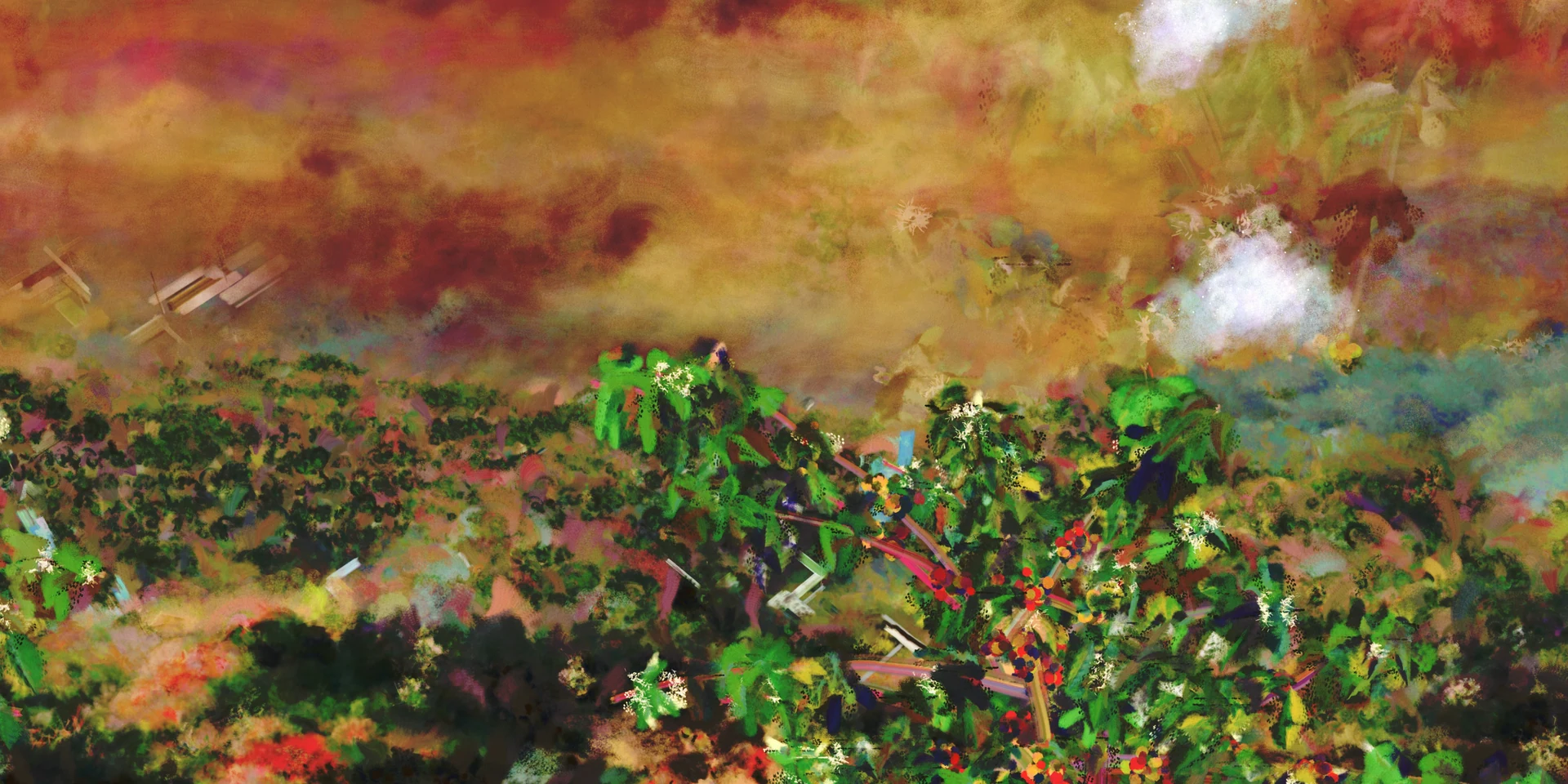An orange-red sunset sky, a white cloud and blue-green mountains at 7 p.m., coffee trees below