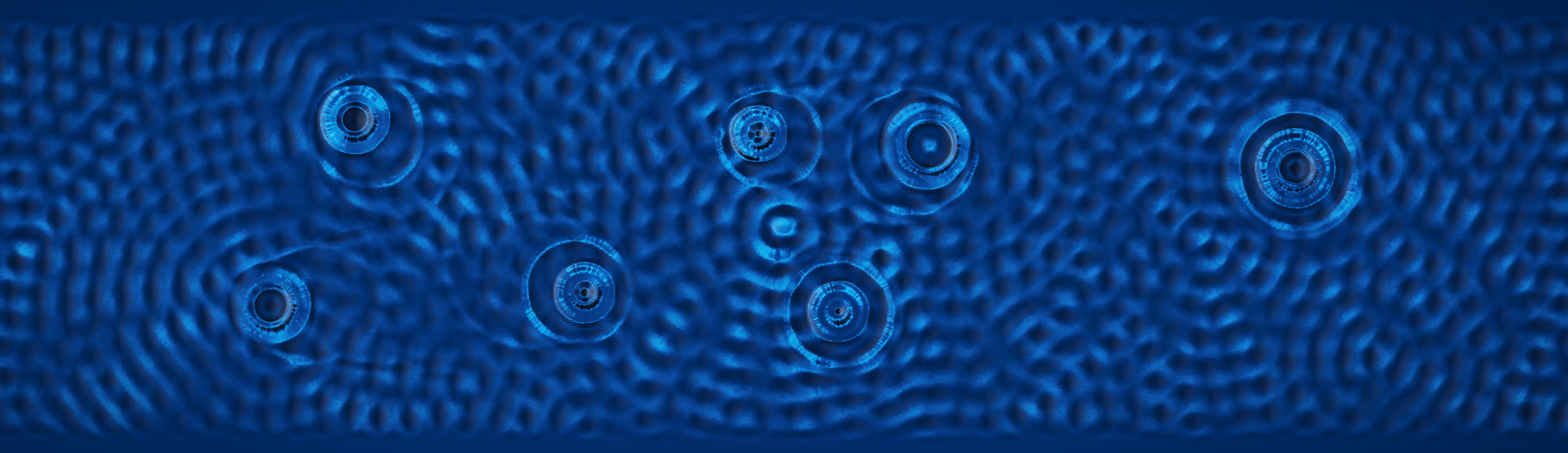 Cymatics of Life
