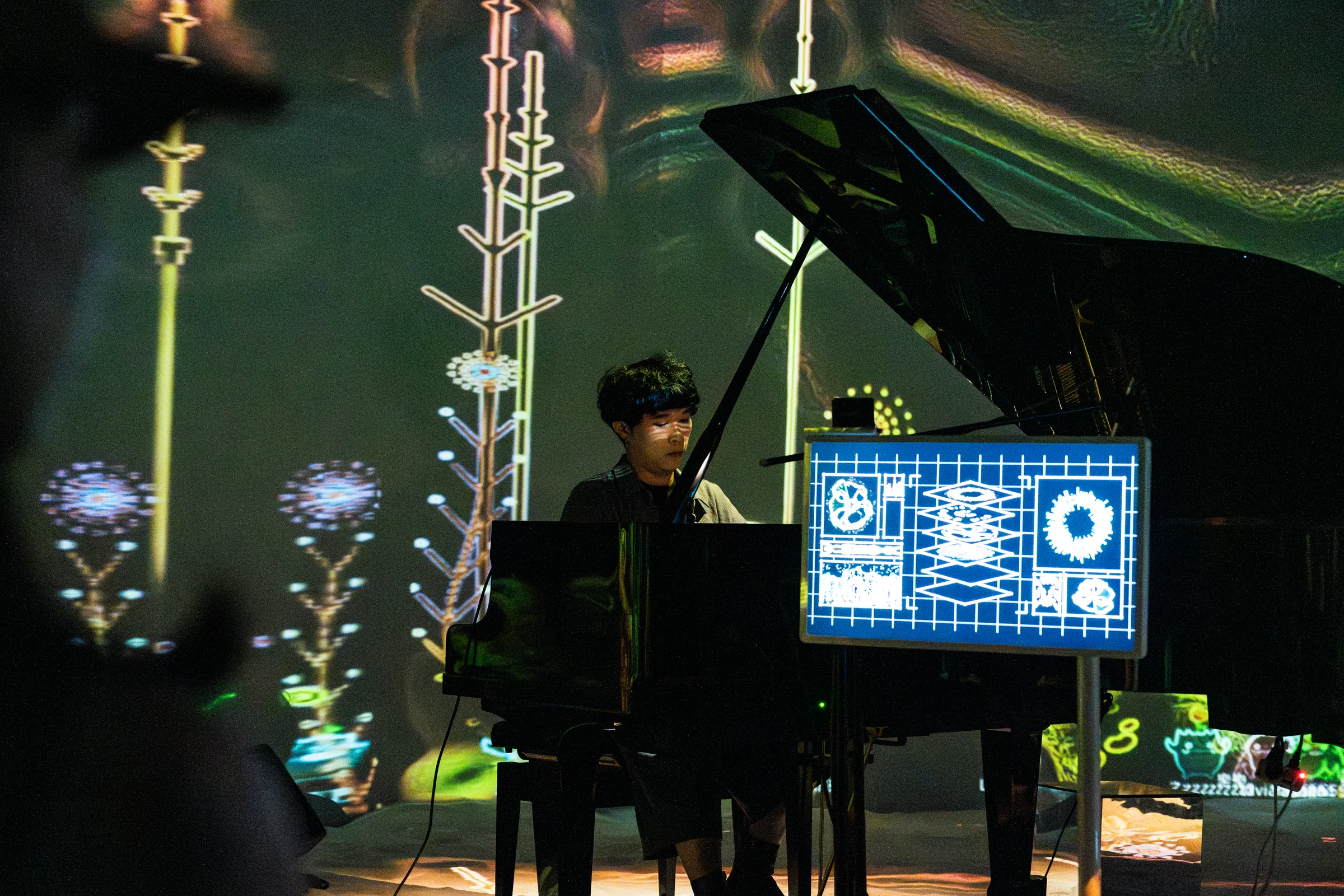 The Eternal Garden in a Bottle, Pier-2, The concert: piano and the transparent display