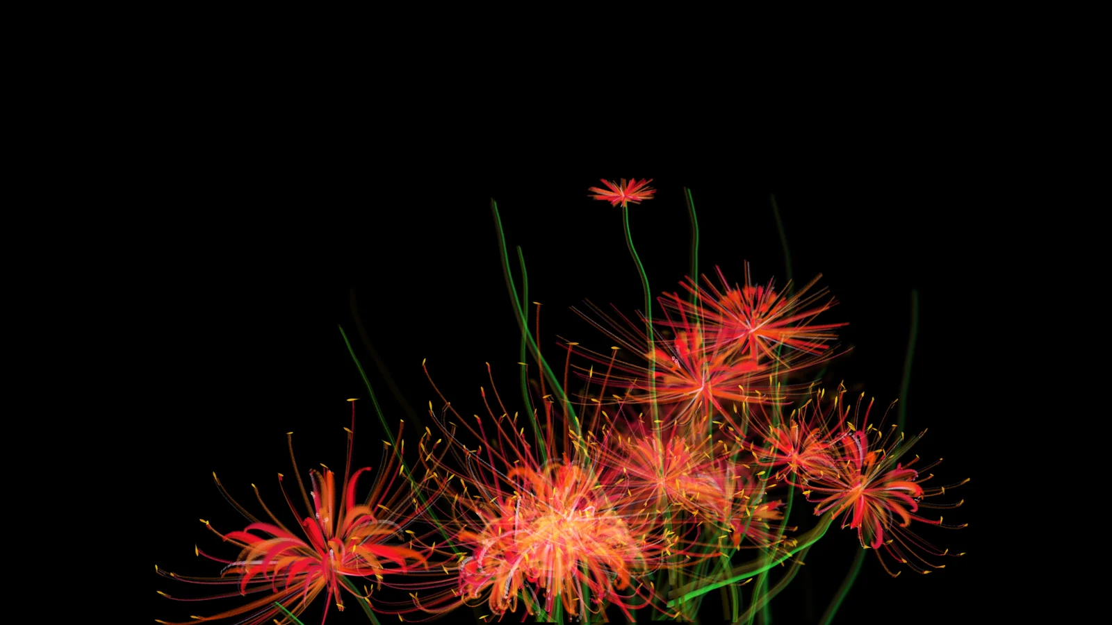 At 2.5 seconds, flowers opening one after another