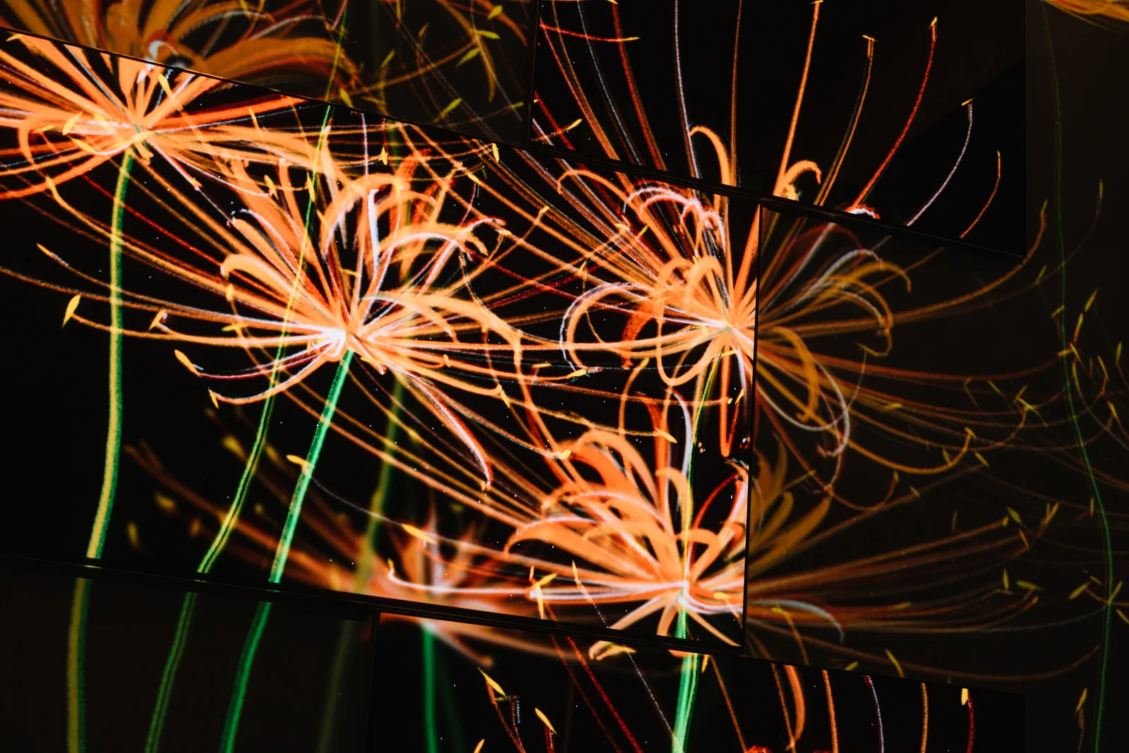 Flowers spanning the angled screens