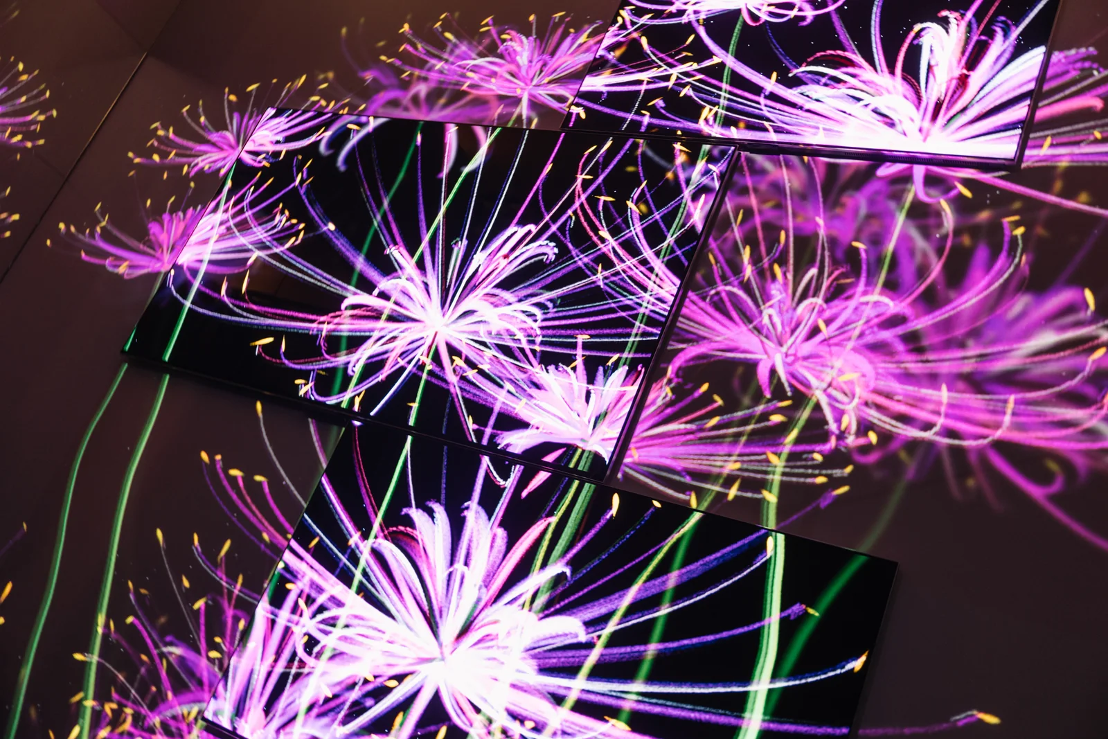 A purple cycle