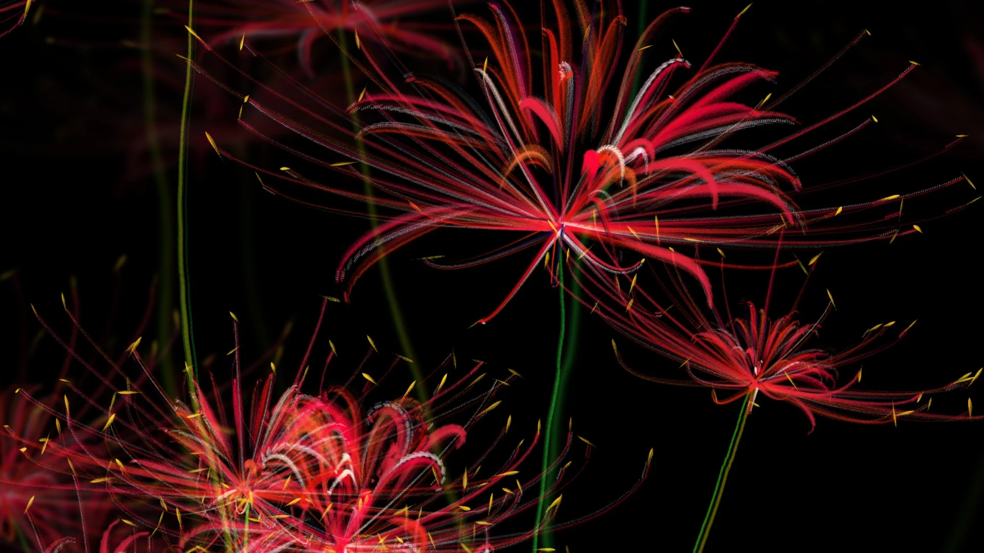 Flowers near the top, petals curling back, at 100%