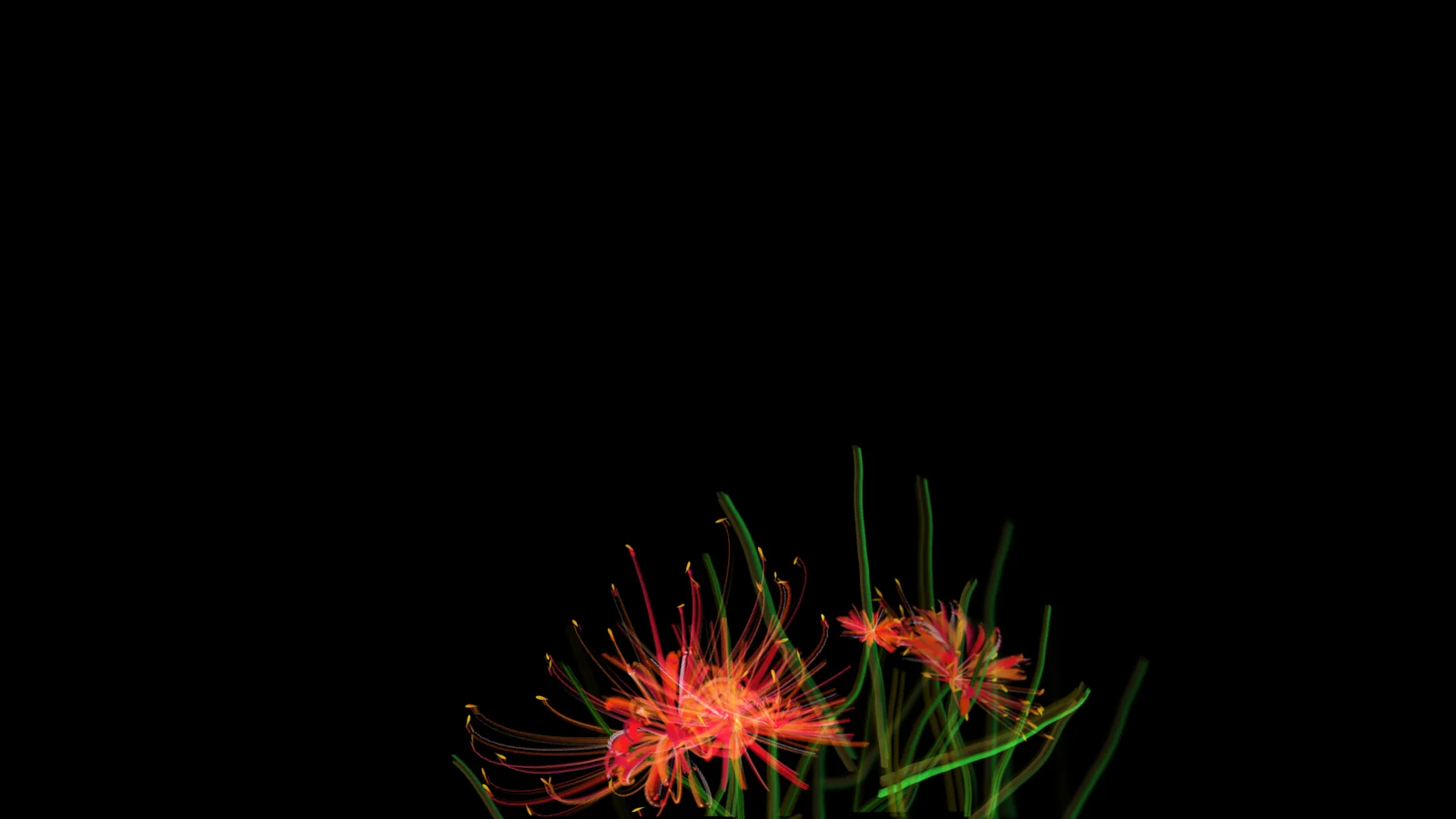 At 1.5 seconds, the first flowers open