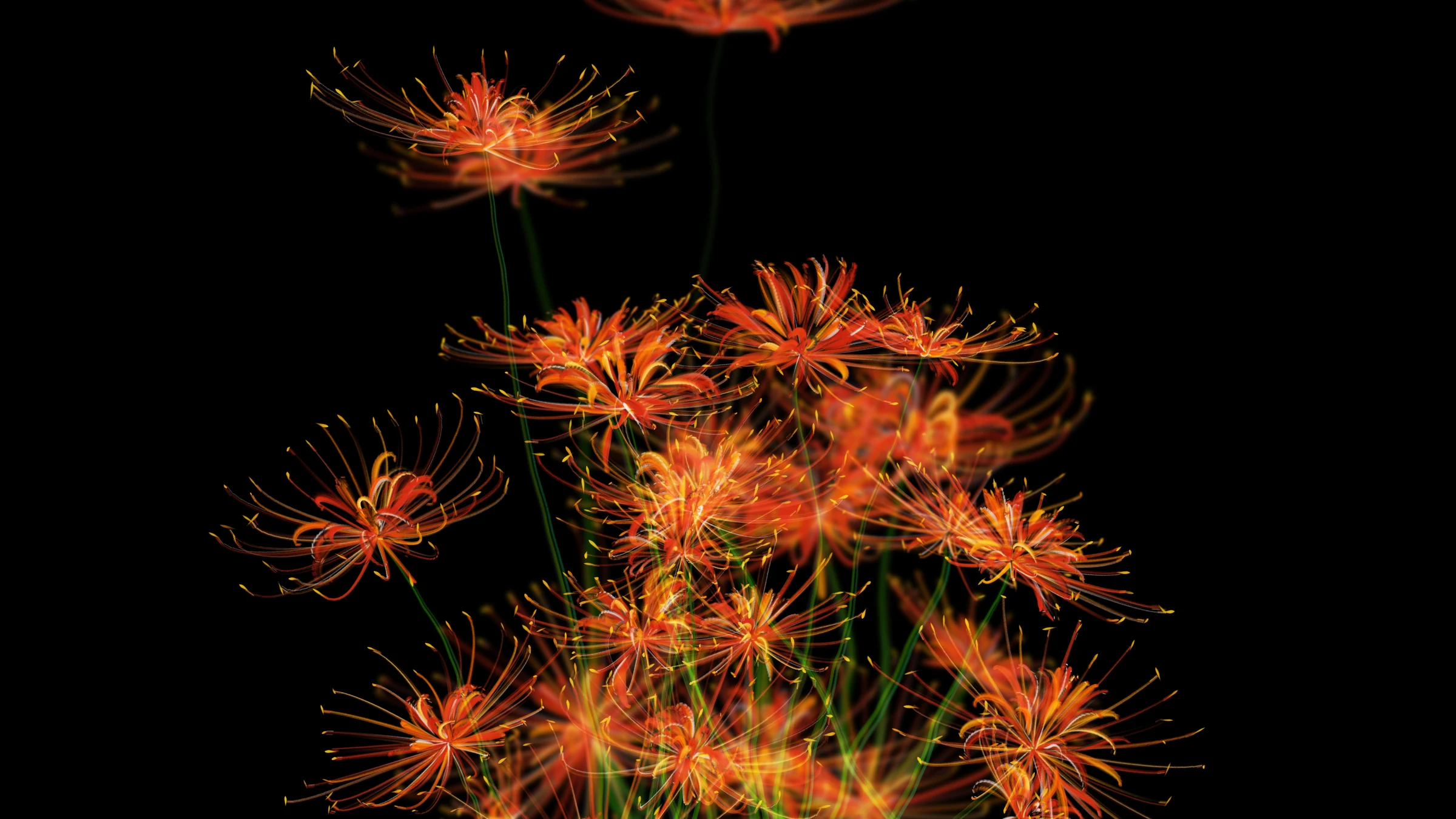 Orange spider lilies, landscape render