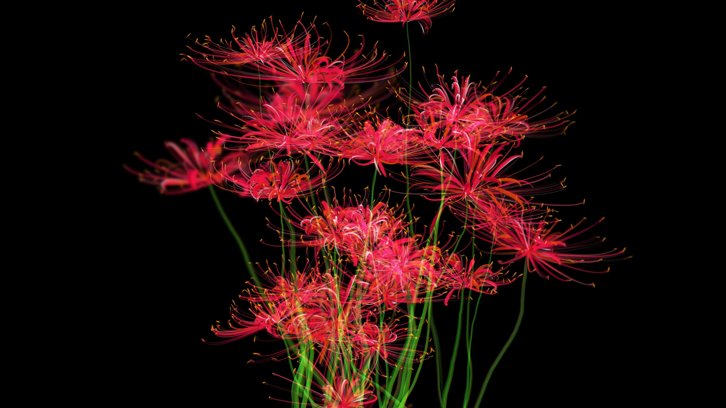 Pink spider lilies, landscape render