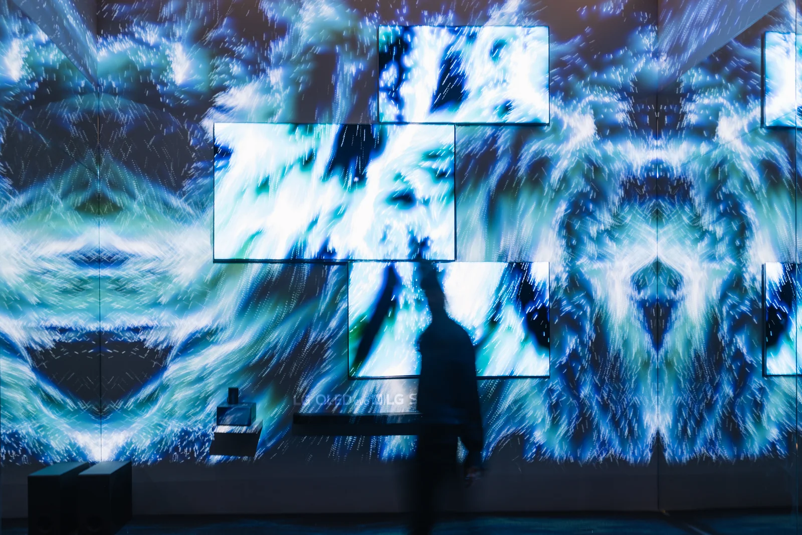 The sea passage, a visitor in front of the screens