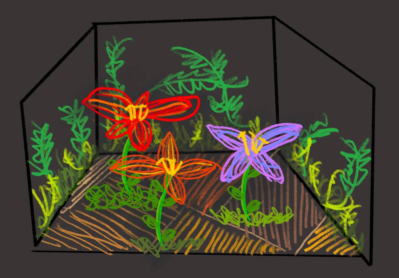 The plan drawing for the Eternal Dream Edition