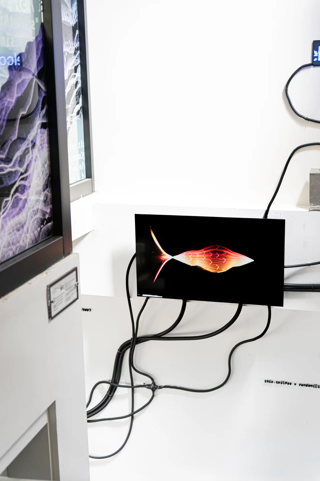 Soul Fish on site: Tempo House, 2024: Soul Fish on a small screen