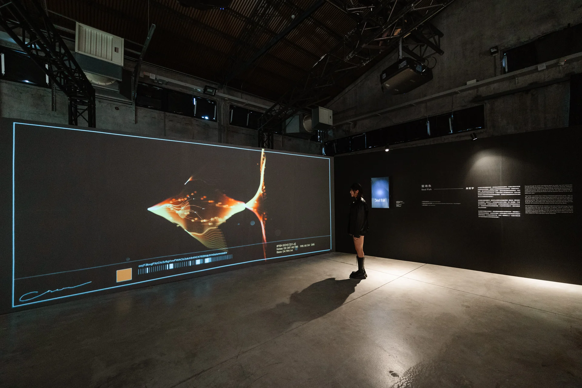 Soul Fish on site: DIGI-FI Yilan: the room