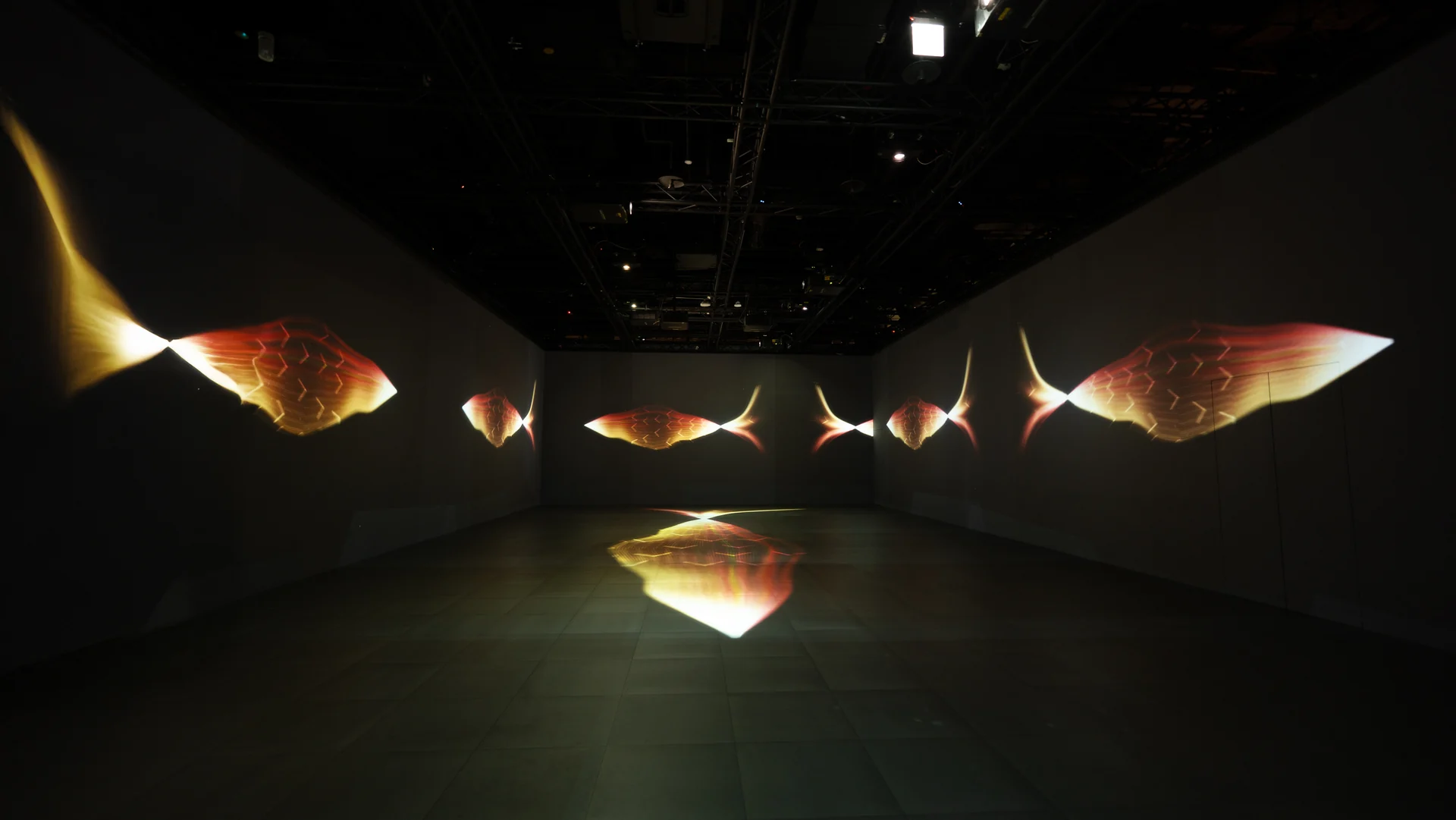 Soul Fish on site: Chaos Laboratory: yellow fish and their reflection on the floor