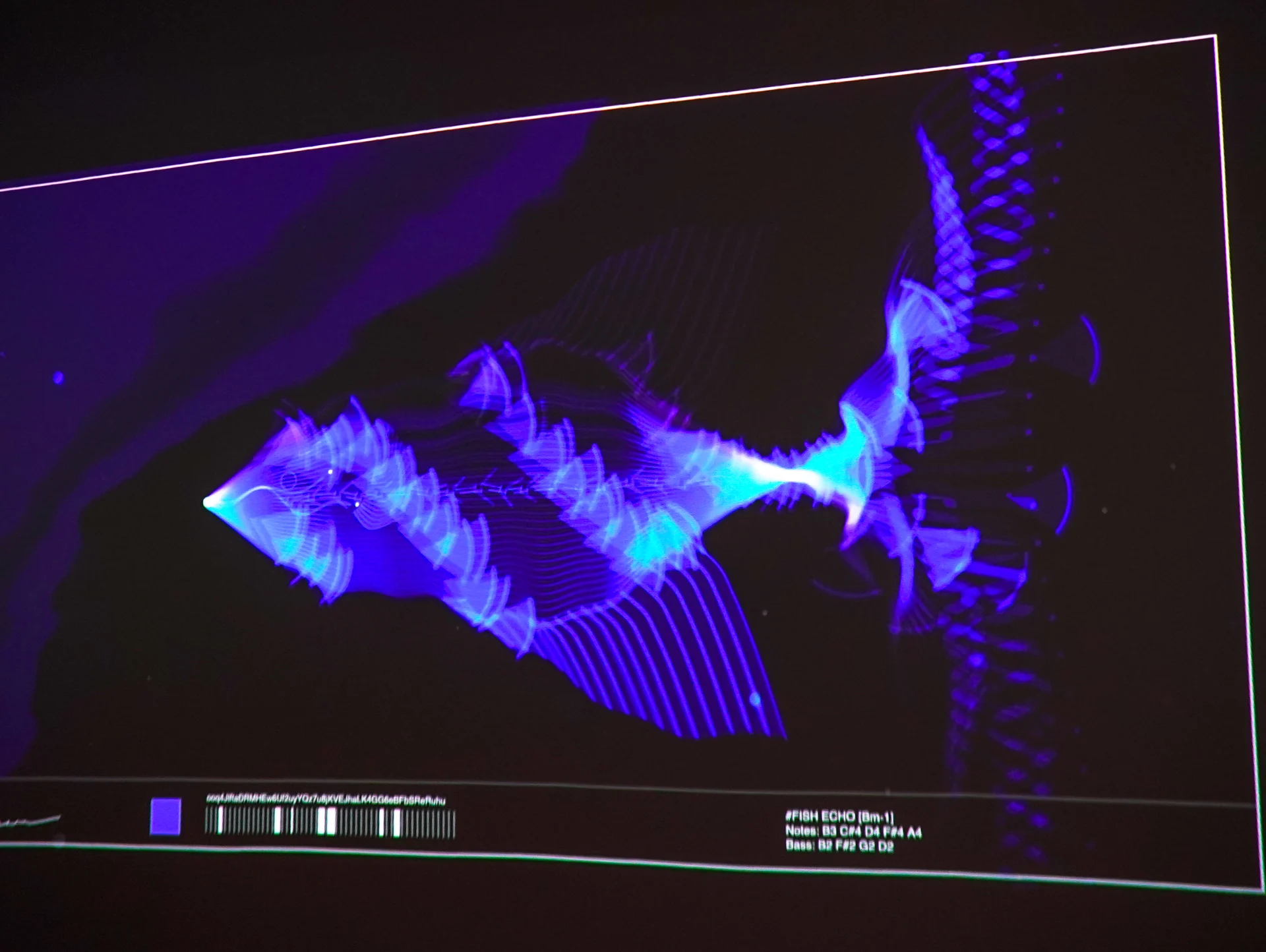 Soul Fish on site: Venice: the projection up close