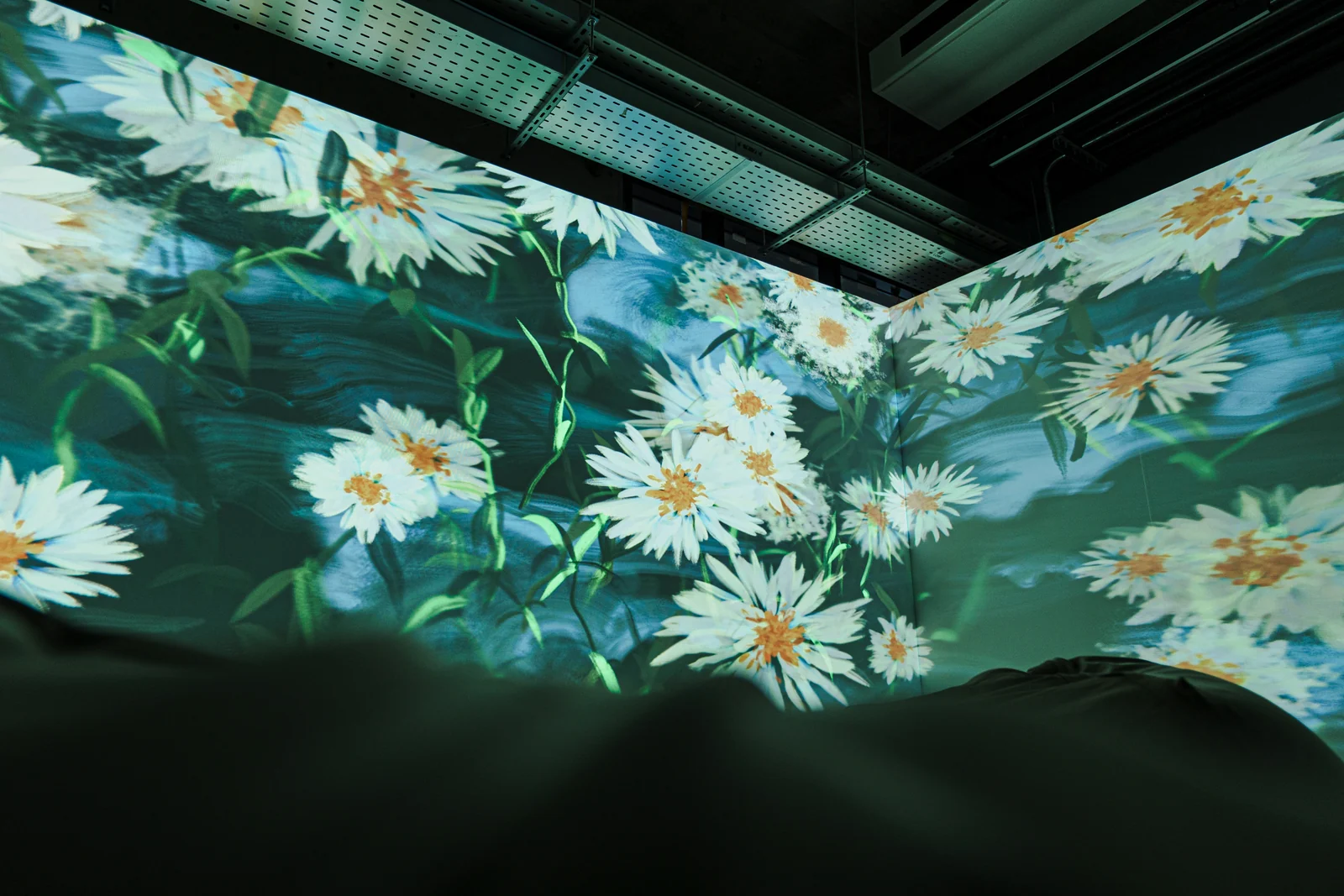 White daisies turning the corner, a beanbag in the foreground