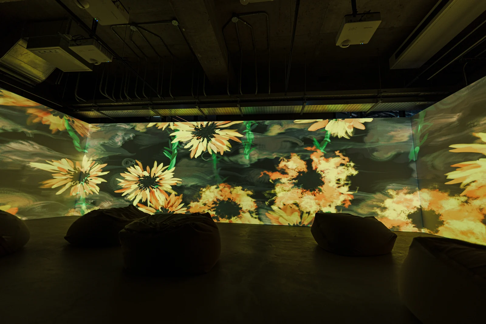 Sunflowers covering a whole wall