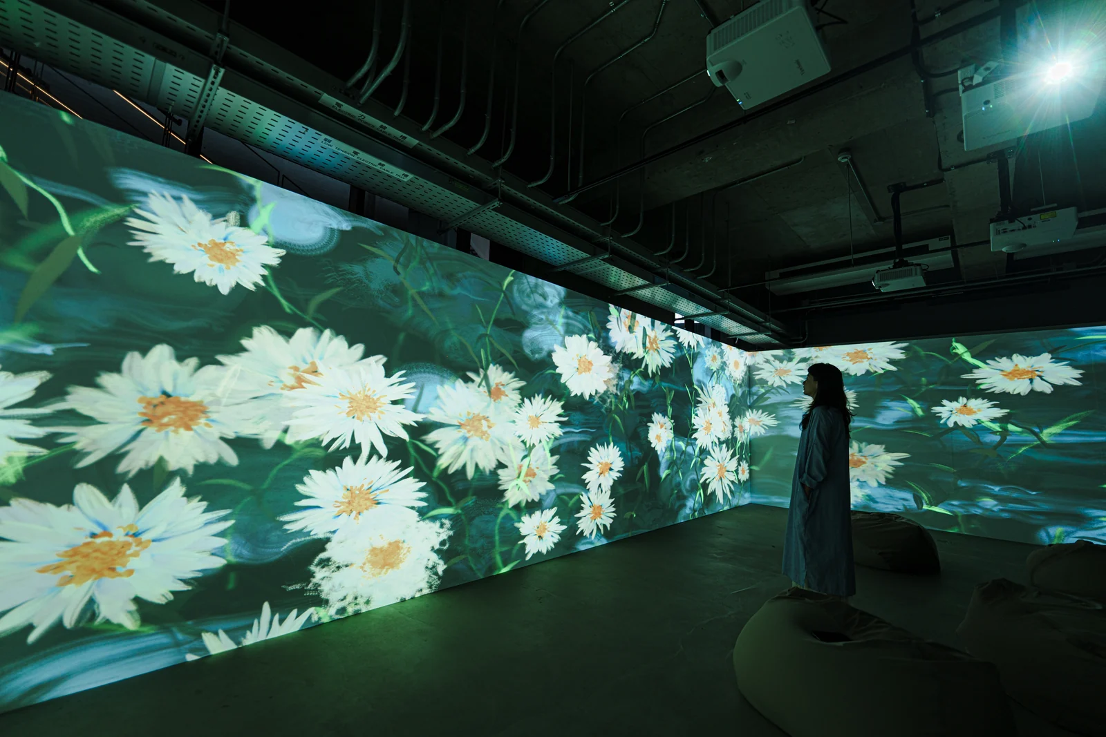 A visitor at the daisy wall