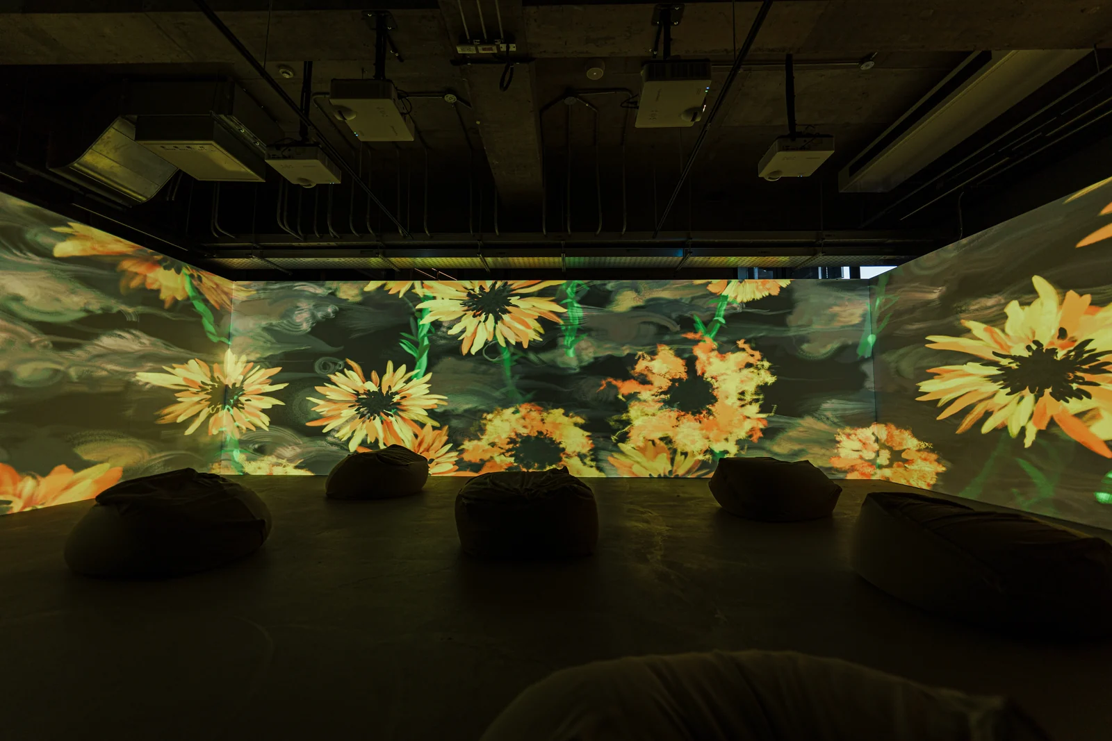 Sunflowers