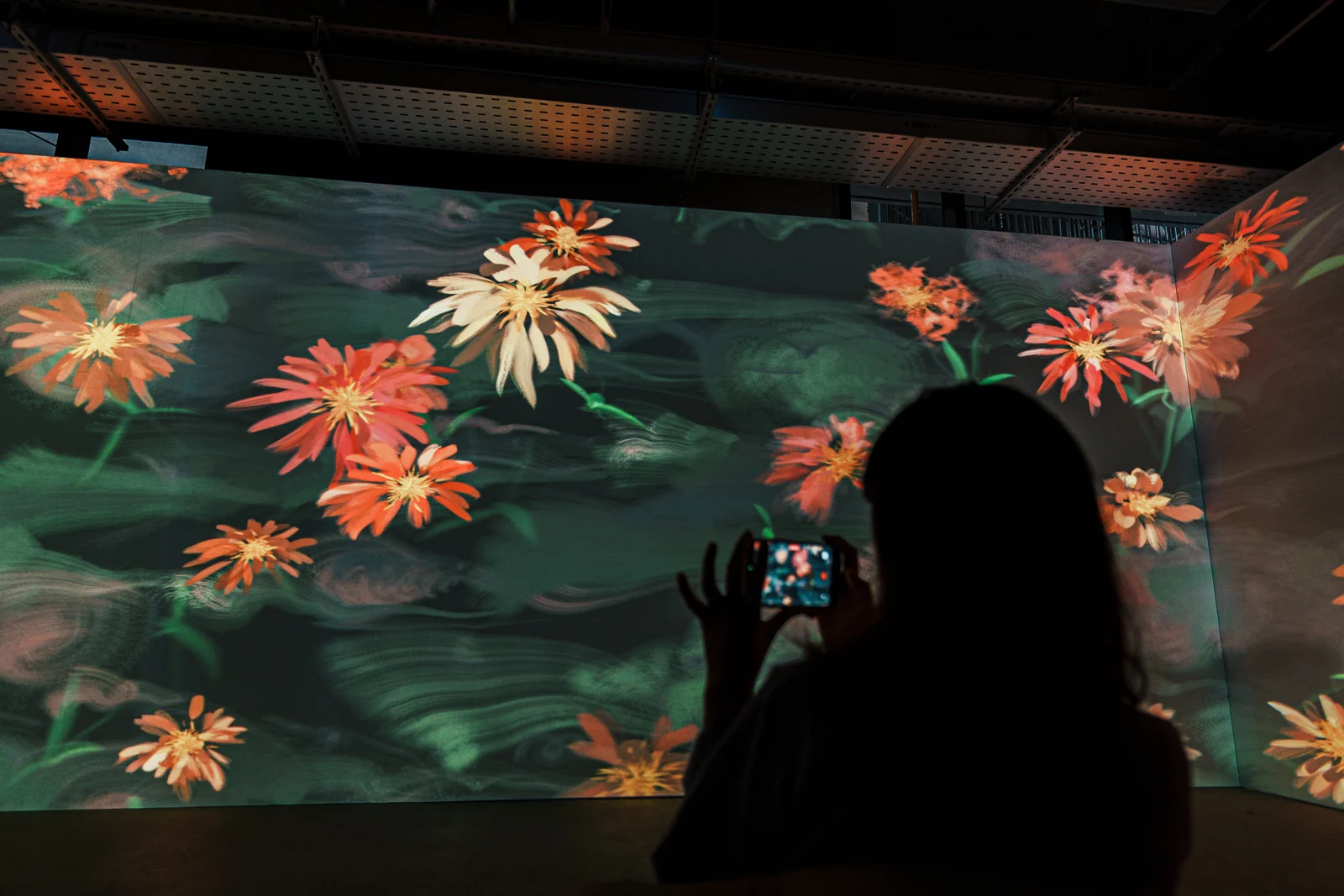 A visitor raising a phone to the red flowers