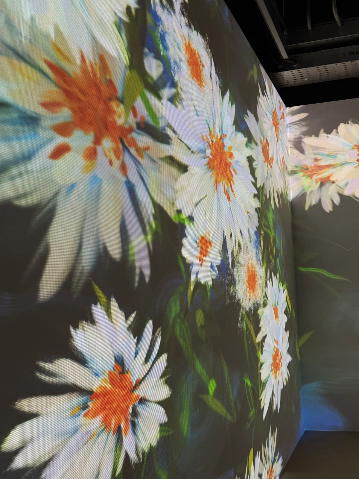 22 April, moving in: the three white walls before the projection came on